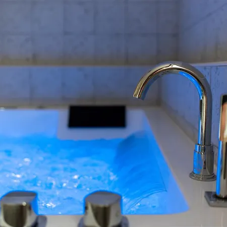 Premium Jacuzzi Terrasse Climatisation * Frouzins